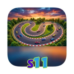 s11
